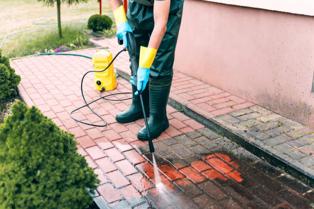 Best Roof Washing  in Brodhead, WI